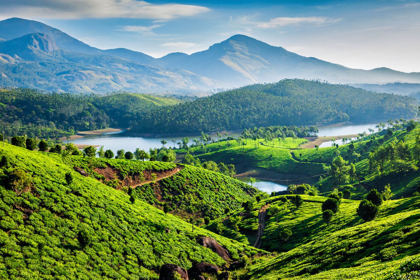 Munnar is one of the best places to visit in Kerala