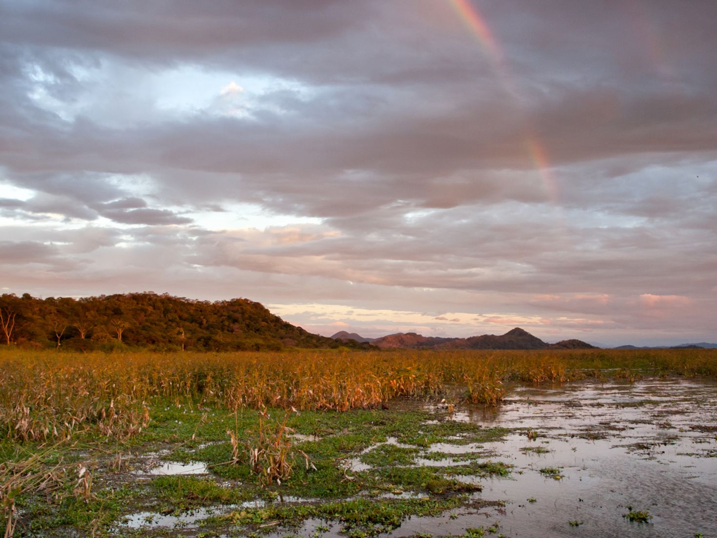 Palo Verde National Park is situated close to Playa Hermosa