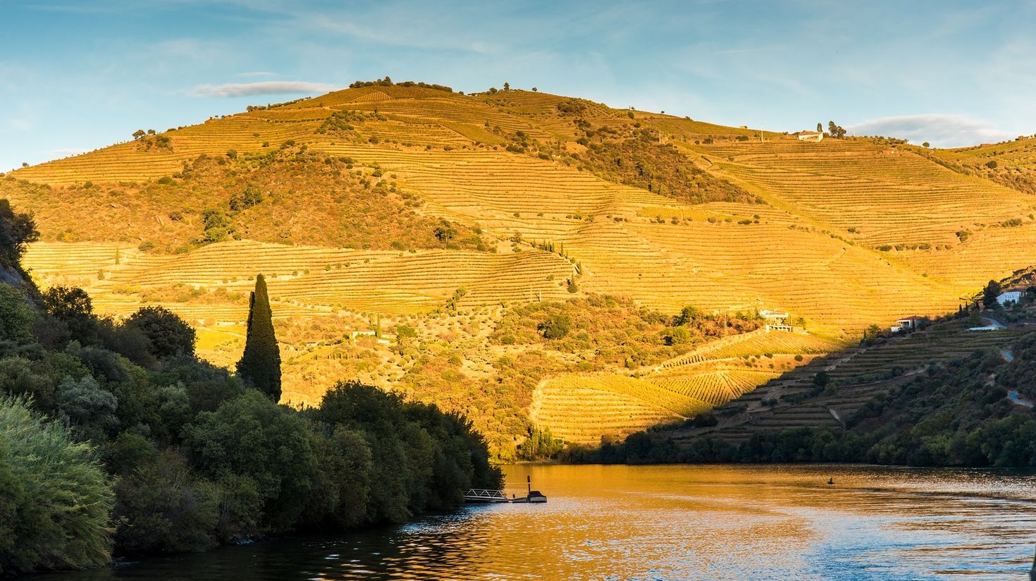 The Douro river  passing through the Douro Valley