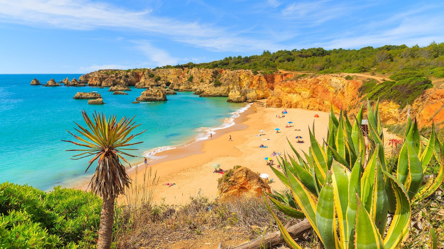 Tropical plants on cliff rocks with view of beautiful beach near Portimao