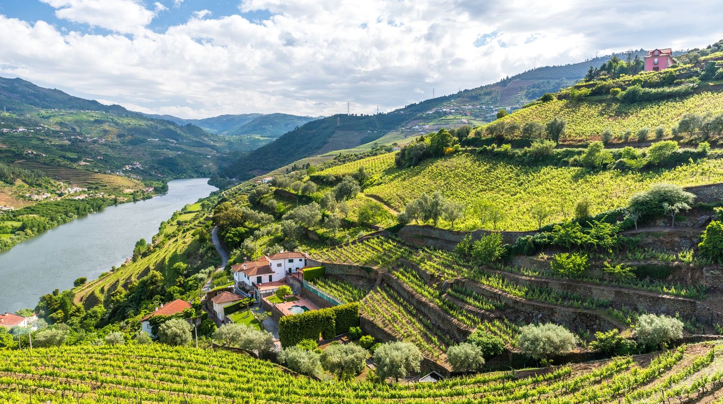 Beautiful Landscape of the Douro river region in Portugal