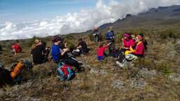 Prepare for a Mount Kilimanjaro Climb: Fitness, Gear, and Mindset