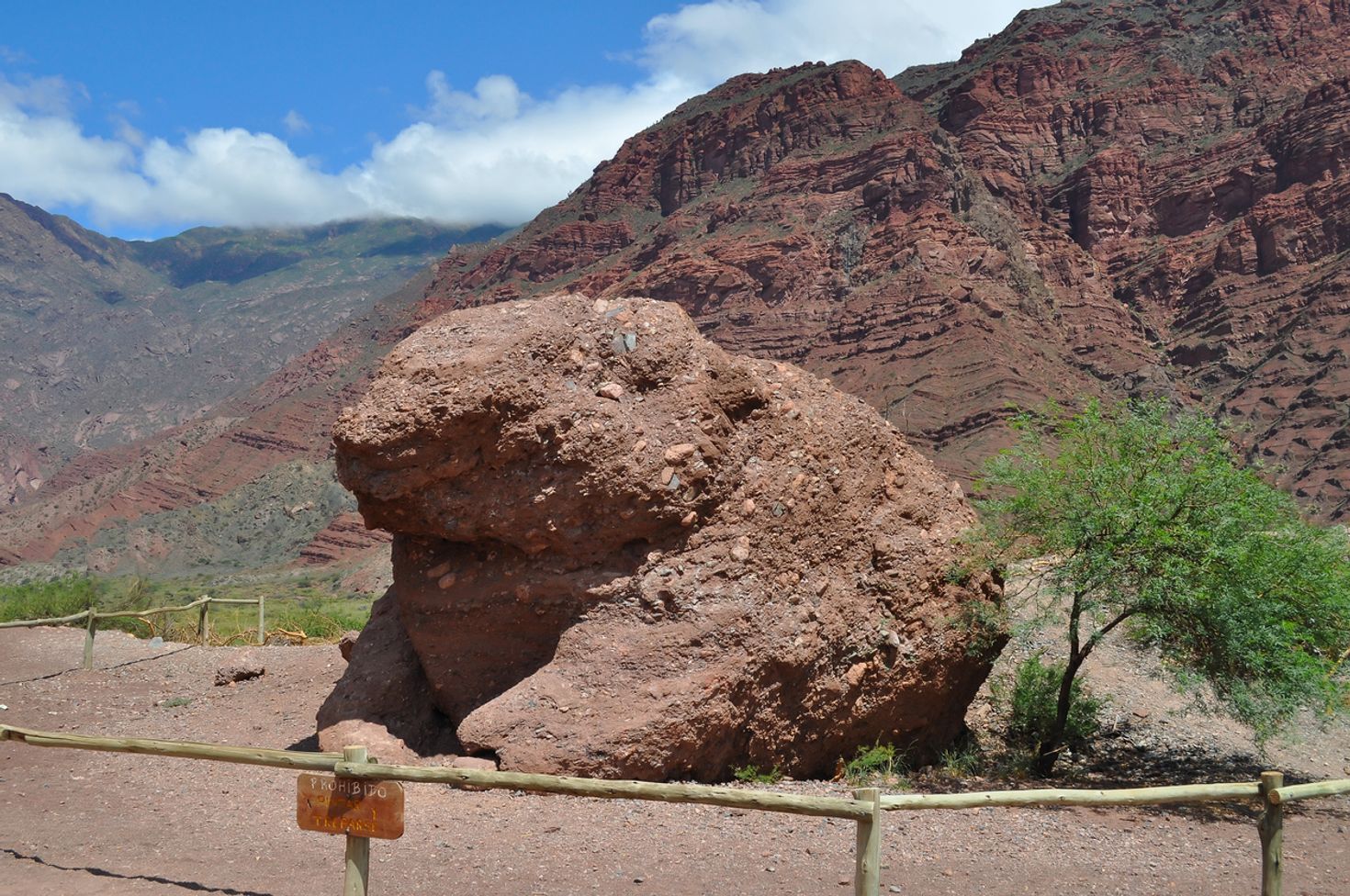The frog at Quebrada de las Conchas