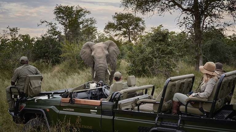South Africa is already acclaimed for safaris but a luxurious safari in South Africa is the crème de la crème of safari opportunities.