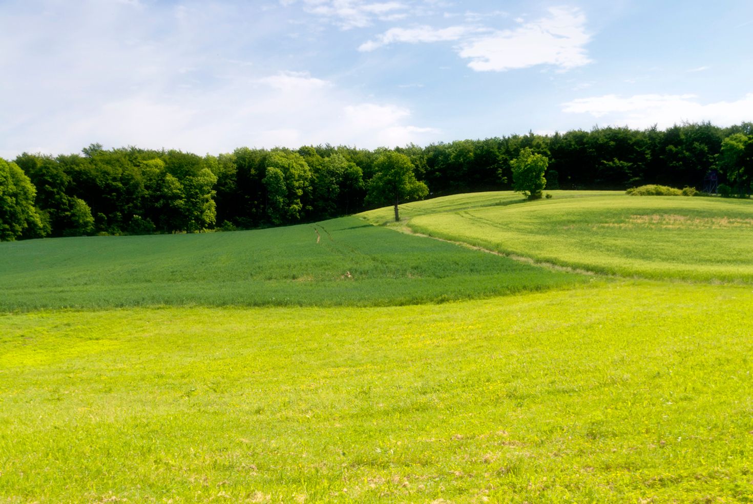 Landscape on the Rennsteig hiking trail