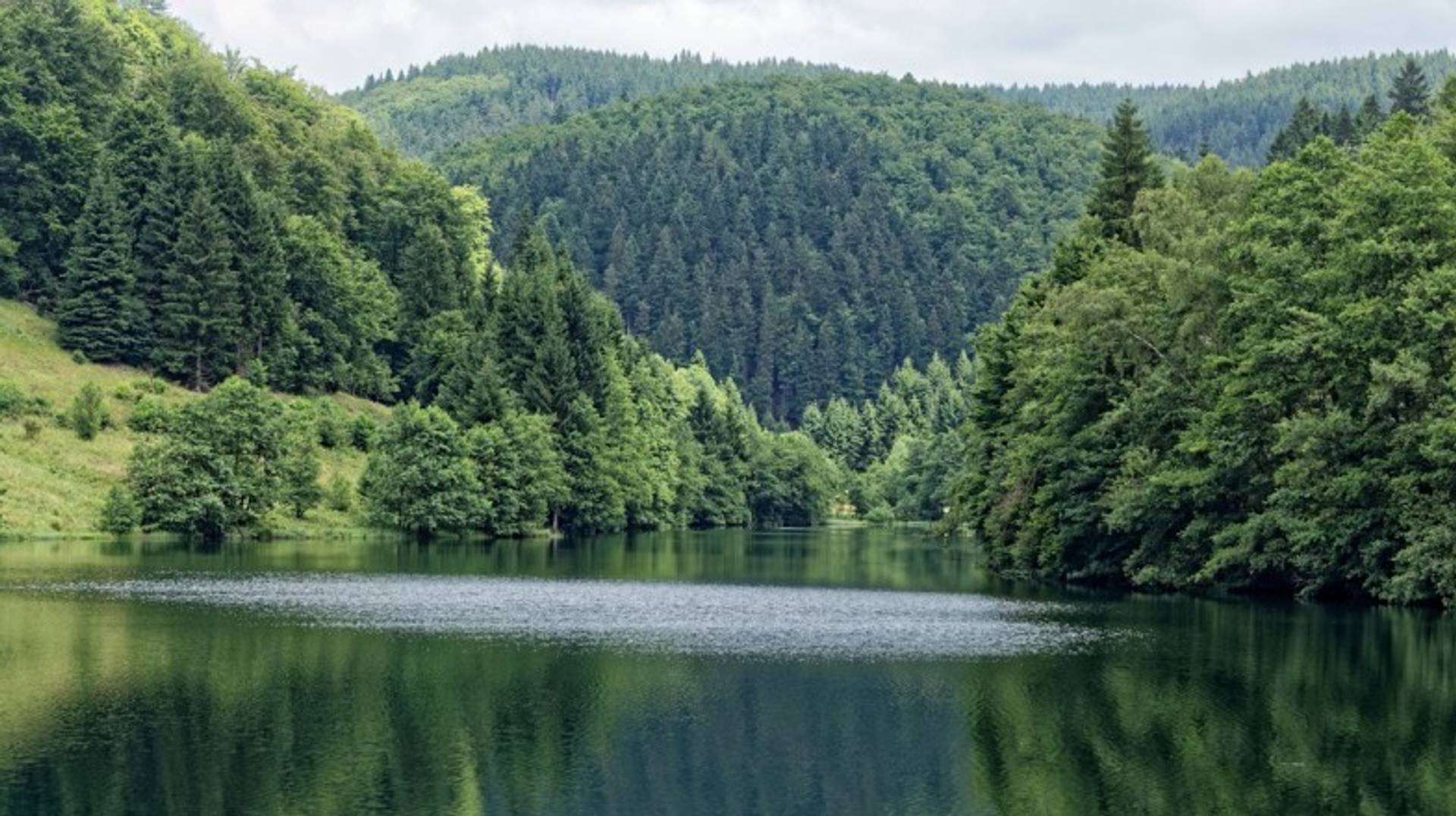 Rennsteig: Hiking the 700-Year-Old Trail