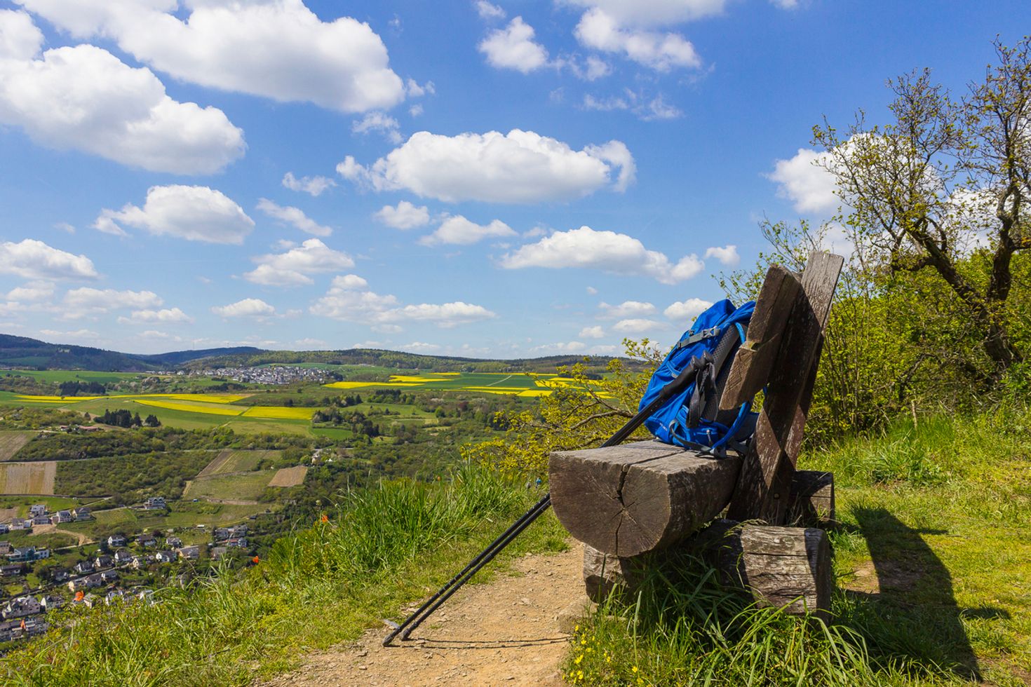 Rheinsteig trail offers the best German landscape