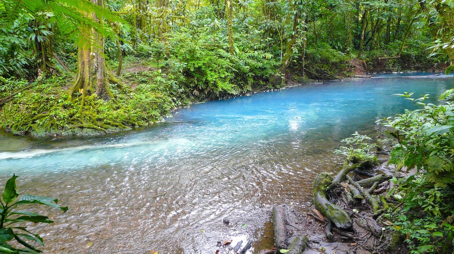 Tenideros Rio Celeste is where the Blue Lagoon is born