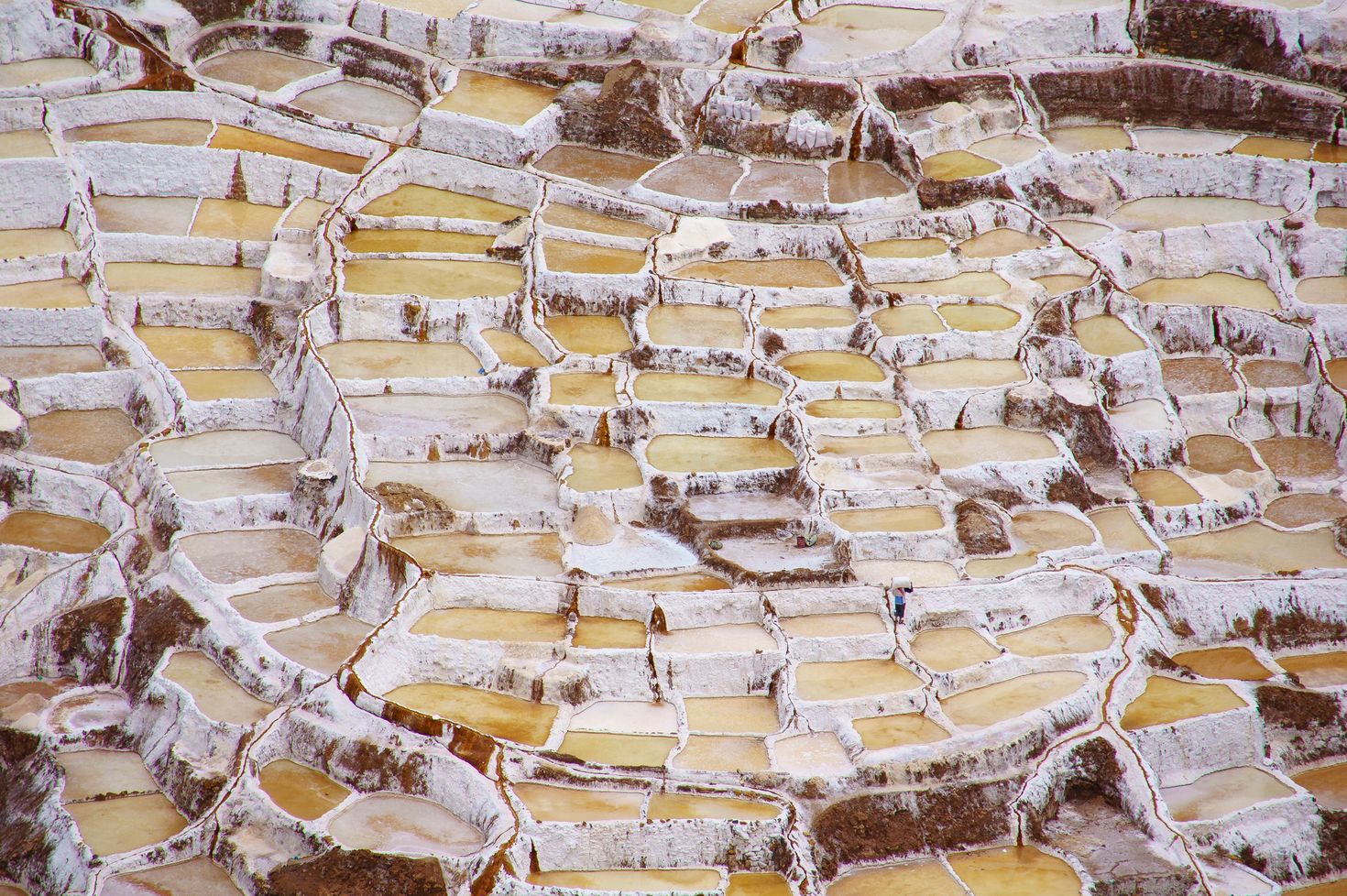 sacred valley salt palette
