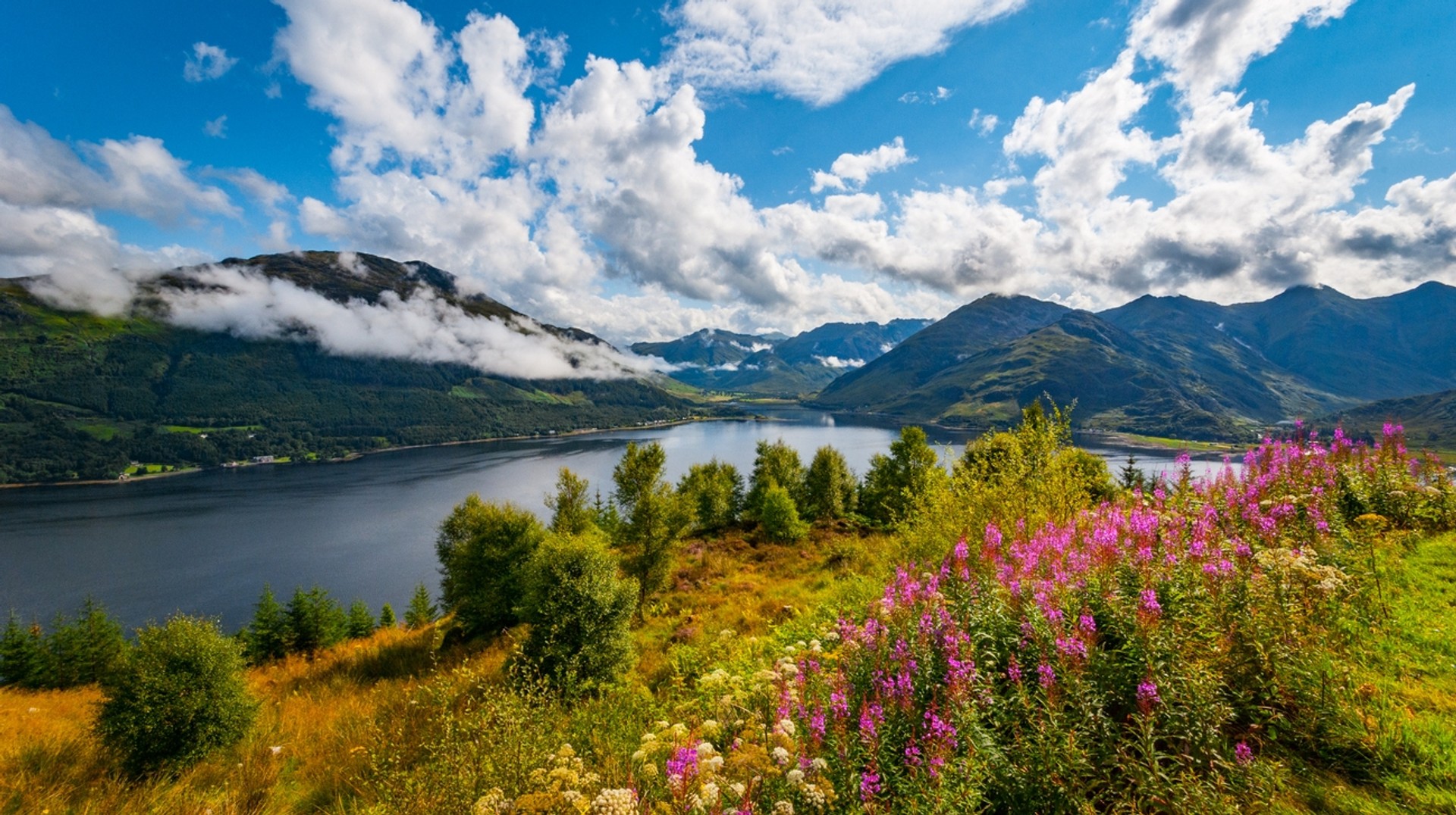 Expect pleasant weather and dry conditions on your holiday to Scotland in April. Flowers are blooming in Loch Duich in the Highlands in Scotland in April.
