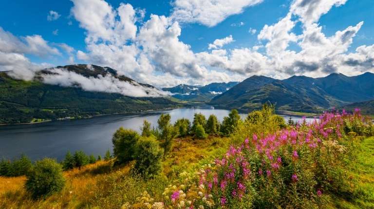 Flowers are blooming in Loch Duich in the Highlands in Scotland in April.