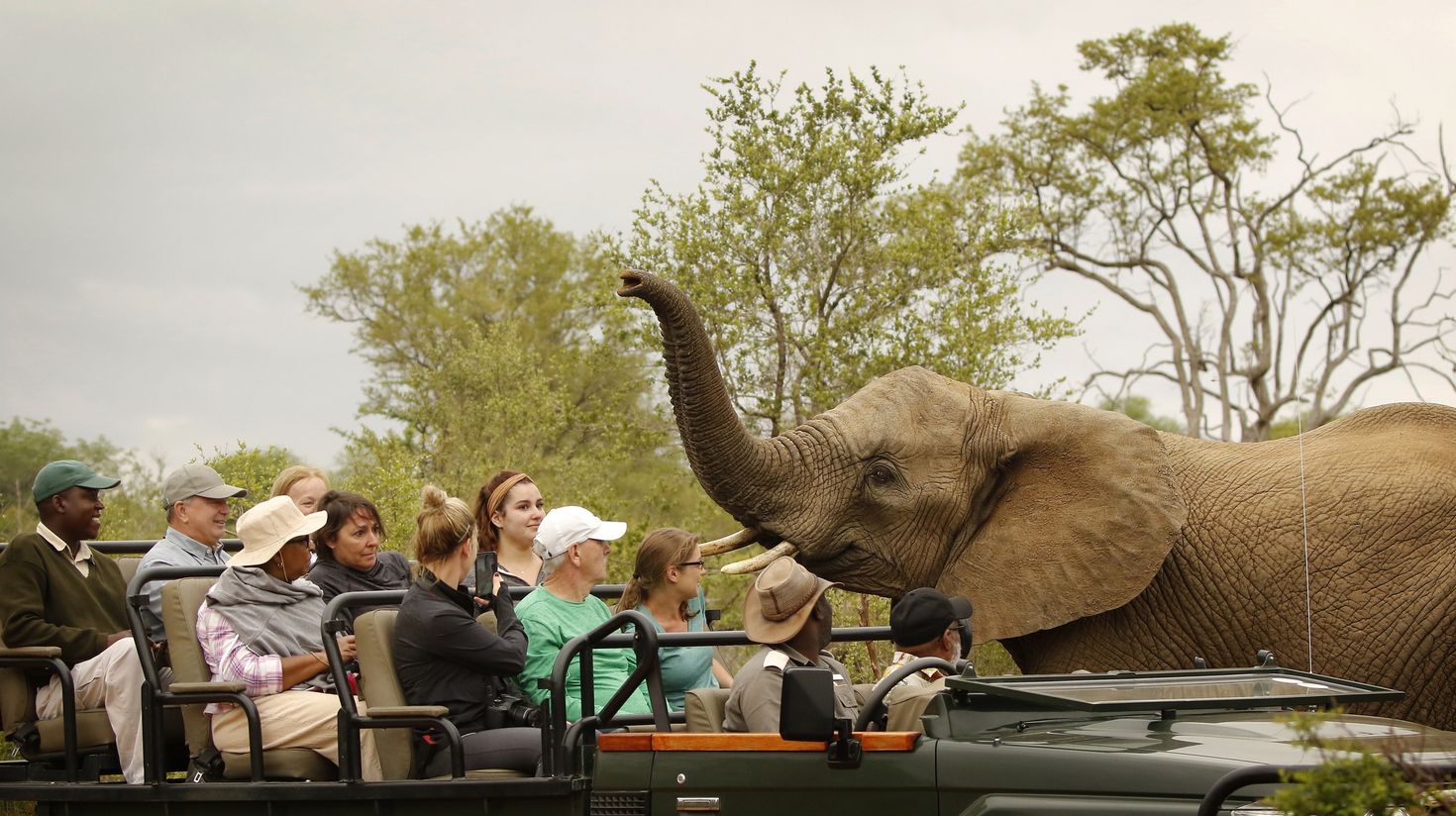 Tourists in Kruger National Park