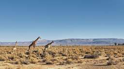 South Africa in 9 Days: 4 recommended 9-Day Itineraries to South Africa