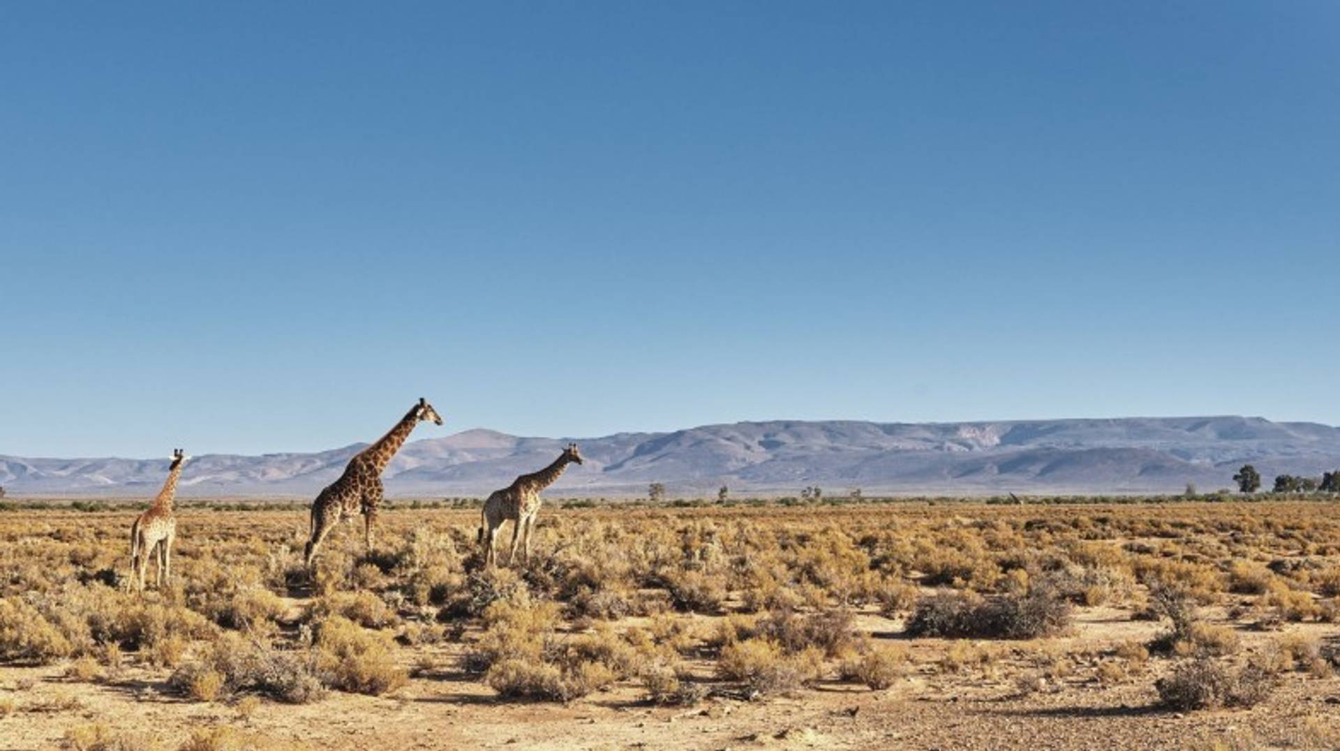 South Africa in 9 Days: 4 recommended 9-Day Itineraries to South Africa