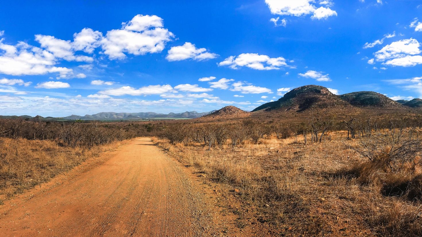 Safari road with beautiful blue sky and cloud in Kruger National Park.