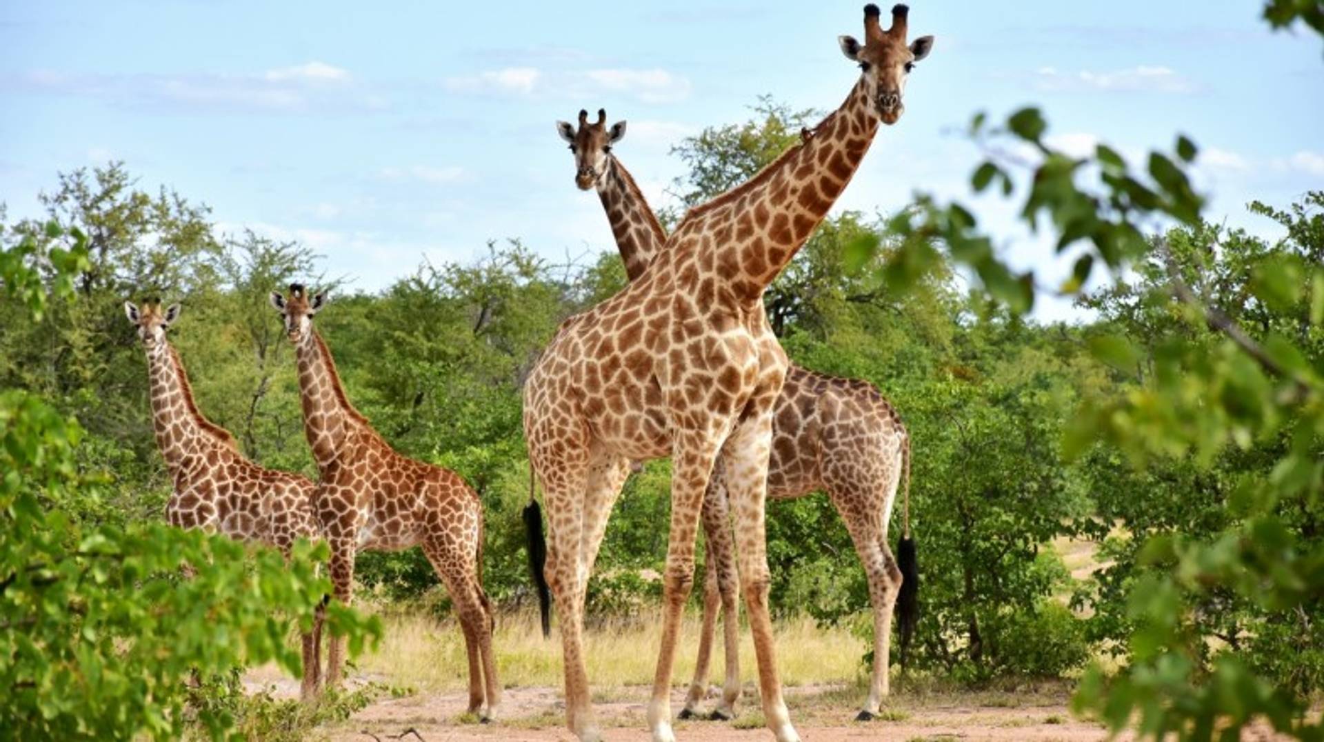 South Africa in December: Weather, Tips & Beach Fun