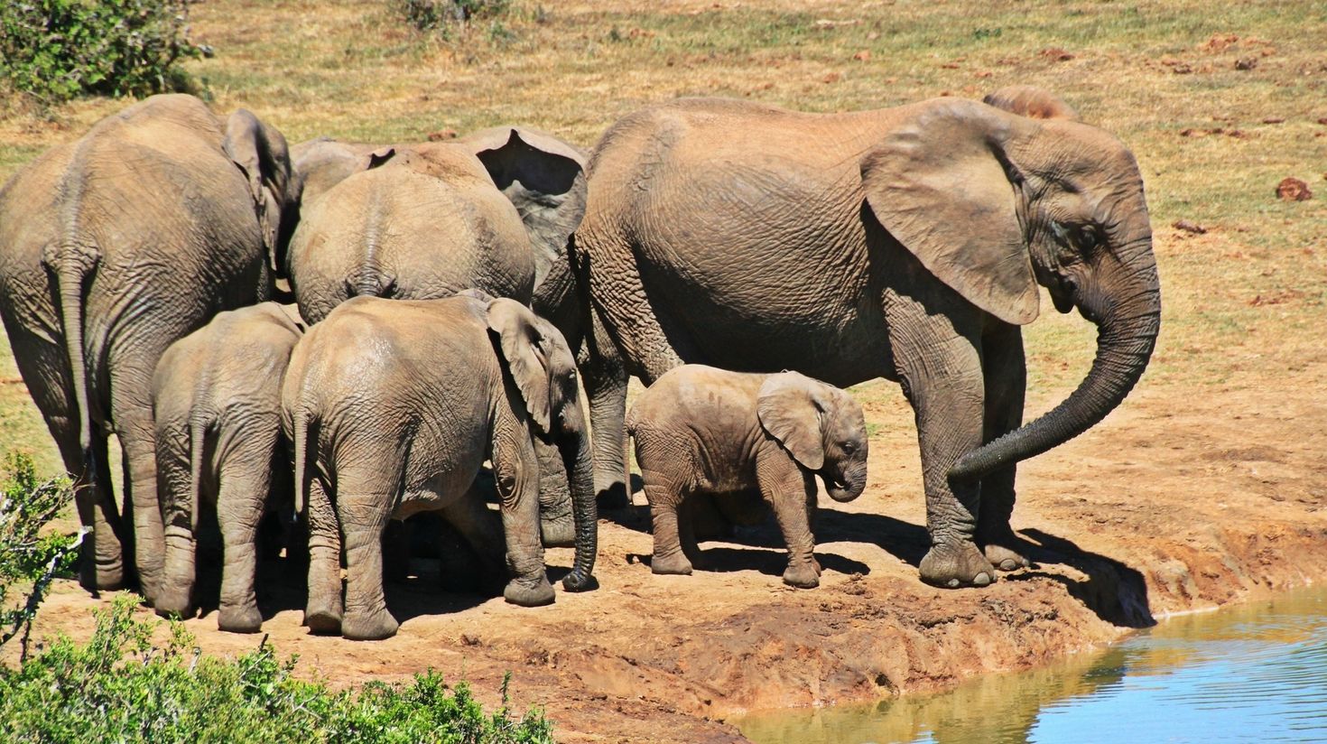 Kruger National Park in South Africa