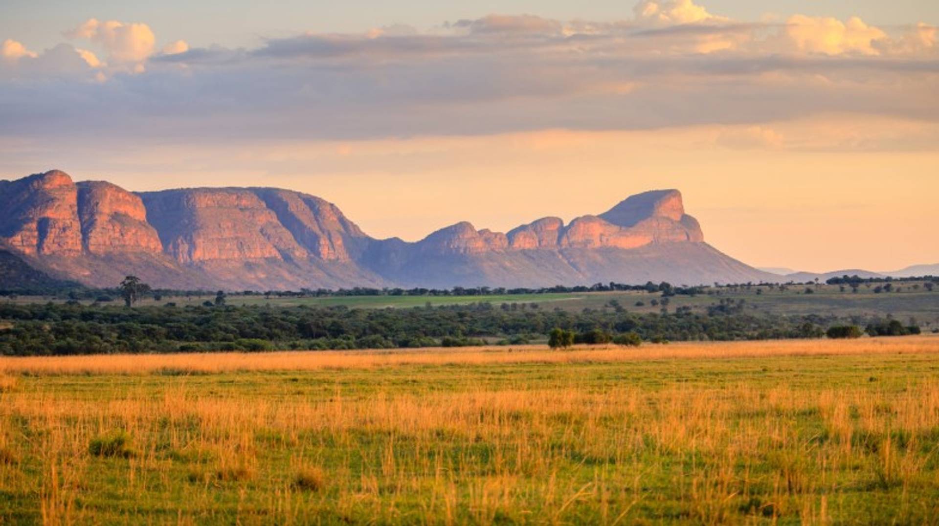 South Africa in September: Safari Holiday in Dry Weather