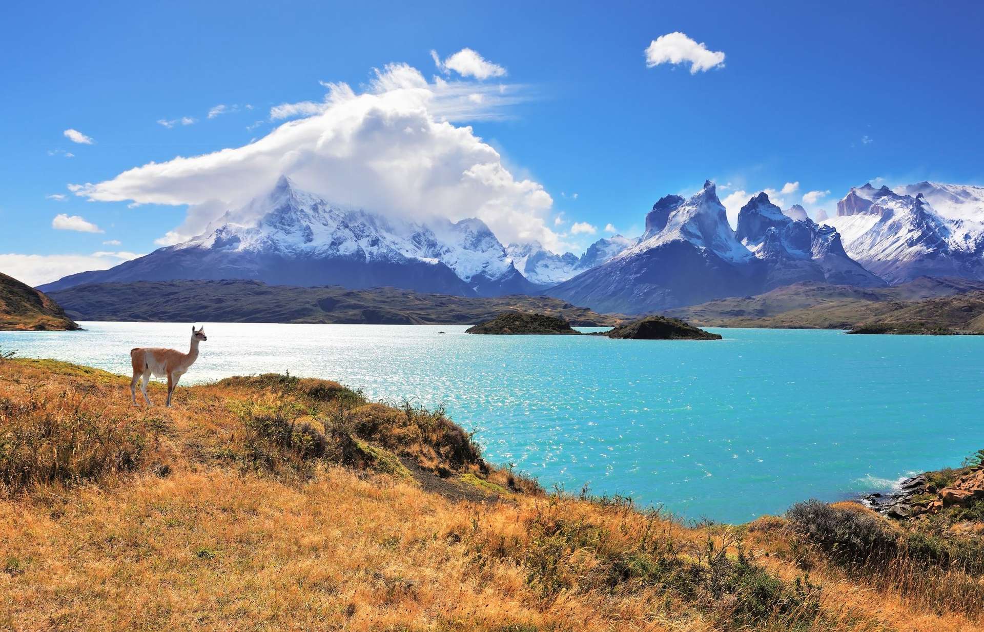South America Travel Guide