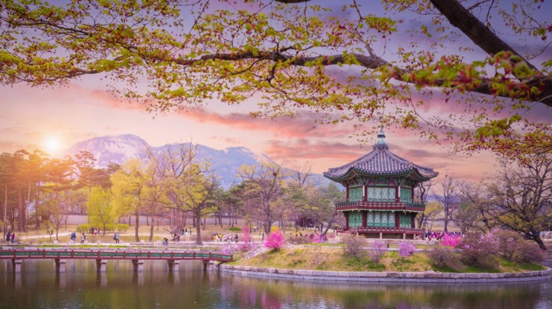 South Korea in May: Weather, Cherry Blossoms and More