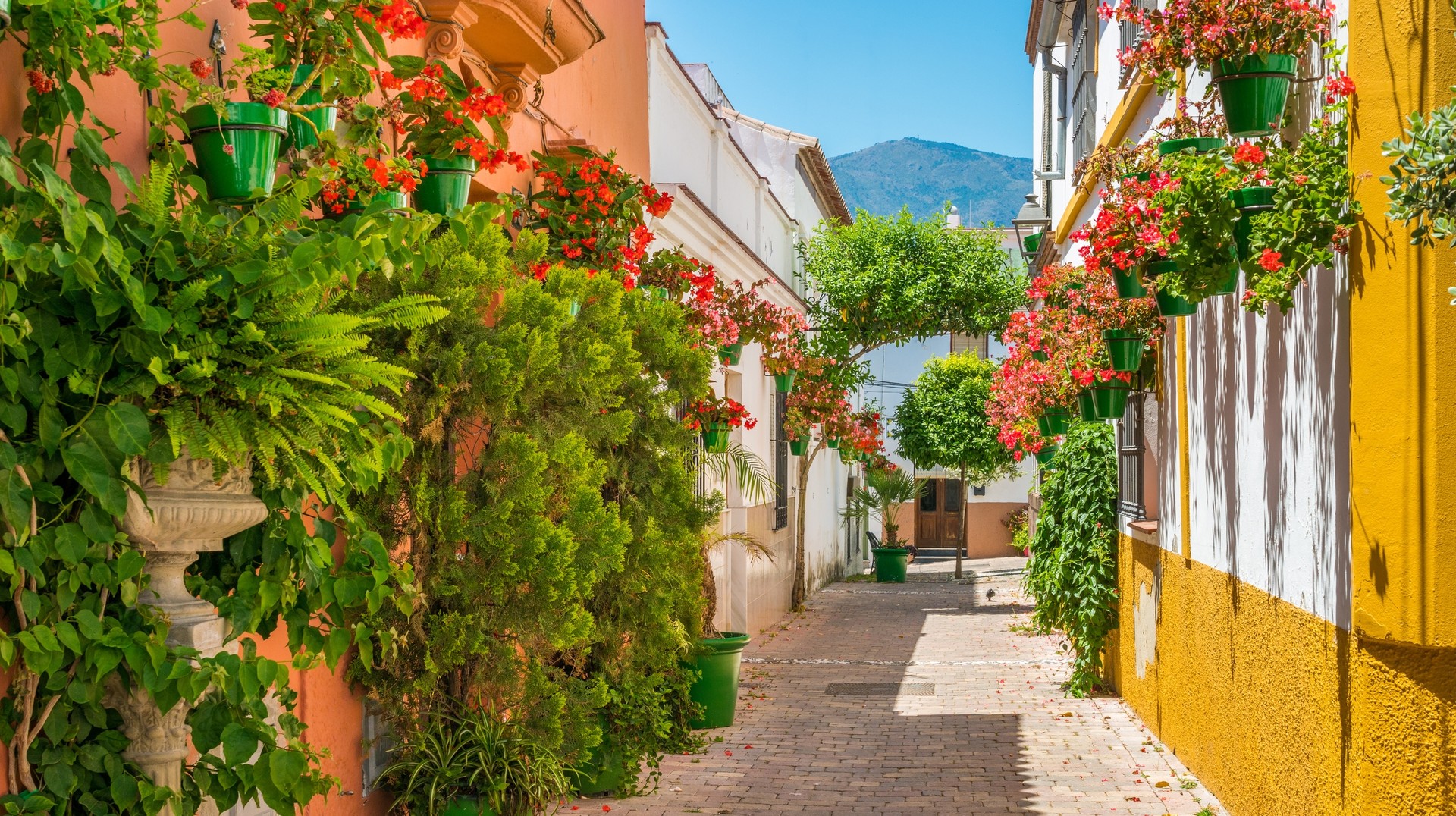 Watch festivals being celebrated in streets of Malaga in Spain in April.