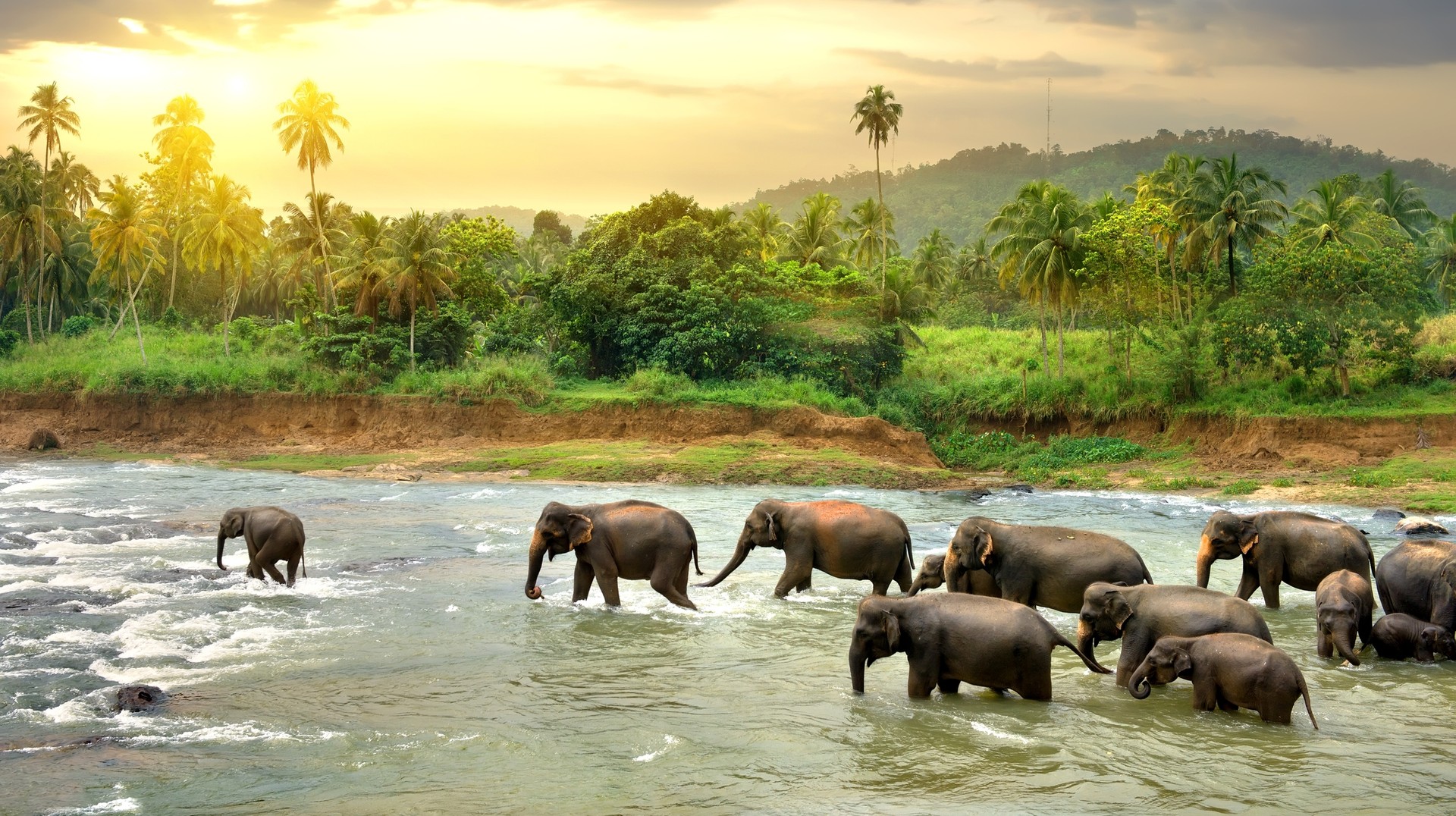 Experience diverse terrain, a variety of wildlife, and a culture that stretches back by millennia while your 10 days trip to Sri Lanka. A 10-day itinerary in Sri Lanka can include witnessing elephant congregations in Yala National Park.