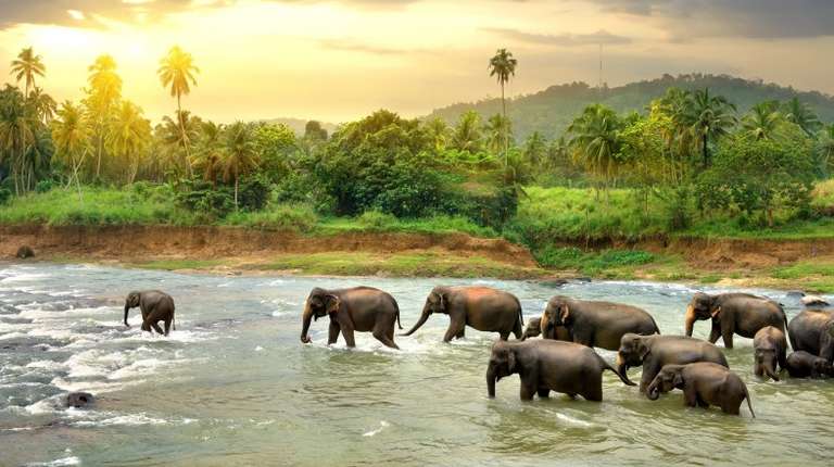 Sri Lanka in 10 Days: 3 Recommended 10-Day Itineraries to Sri Lanka