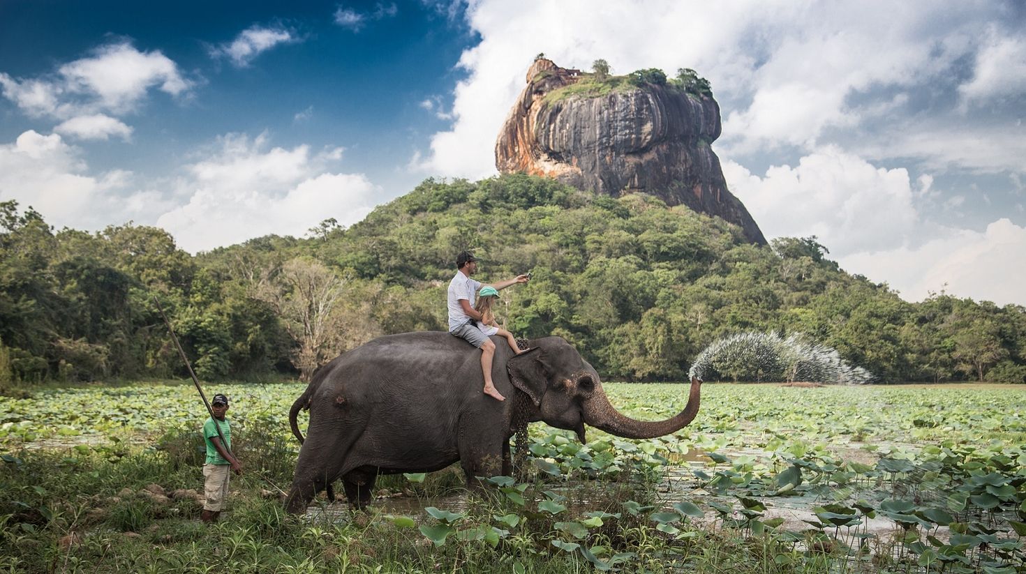 elephant walks alongside the rock of Sigiriya in Sri Lanka in September