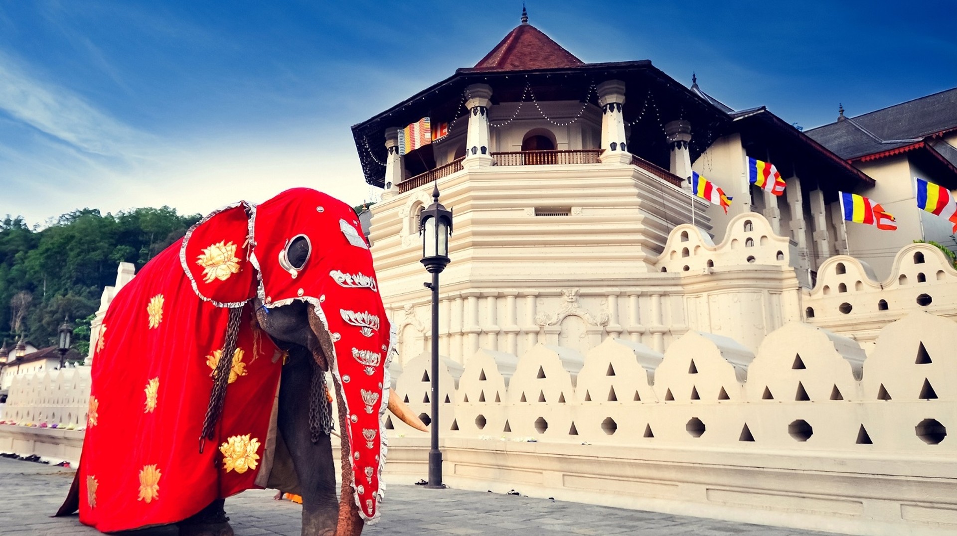 The Temple of the Sacred Tooth Relic or Sri Dalada Maligawa in Kandy is a major draw for Buddhist pilgrims and tourists. Temple of the Sacred Tooth Relic in Sri Lanka in February