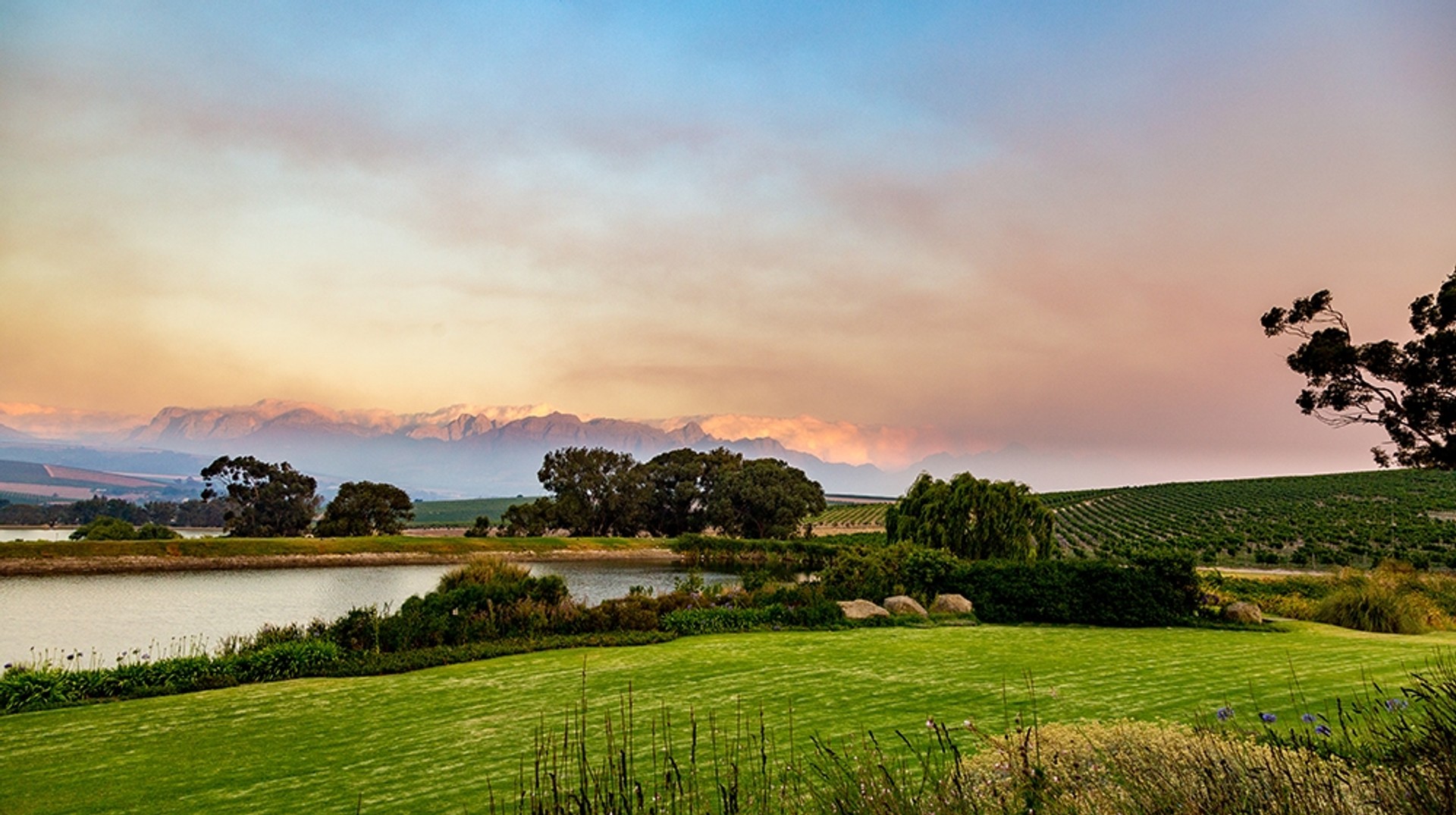 The vineyards of Jordan Estate in Stellenbosch Wine tasting in Stellenbosch is a fun and culturally rich experience.