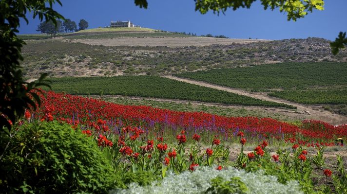 De Morgenzon Winery in Stellenbosch