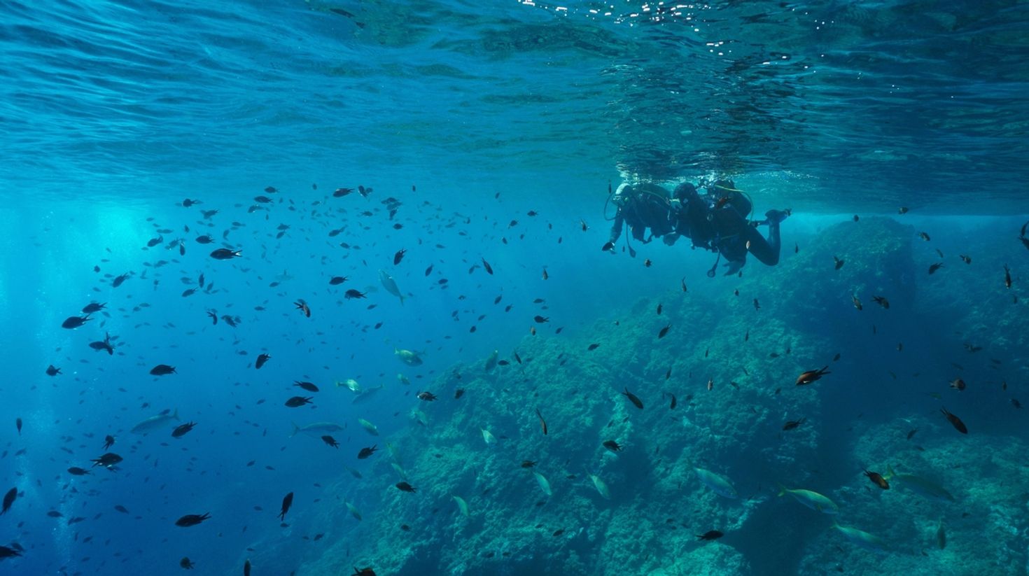 scuba diving in the Spanish Mediterranean sea