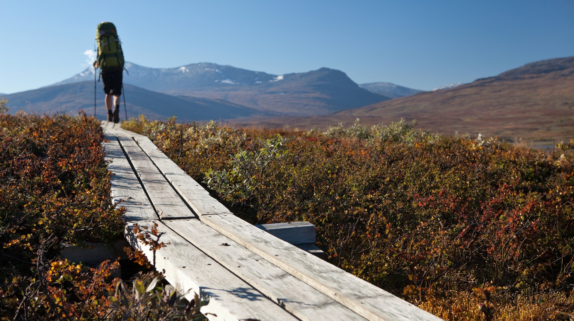 Experience the magic of Sweden in July landscapes as you hike through lush forests, crystal-clear lakes, and majestic mountains, immersing yourself in unforgettable A hiker on the Padjelanta hiking trail on a sunny day in Sweden in July.