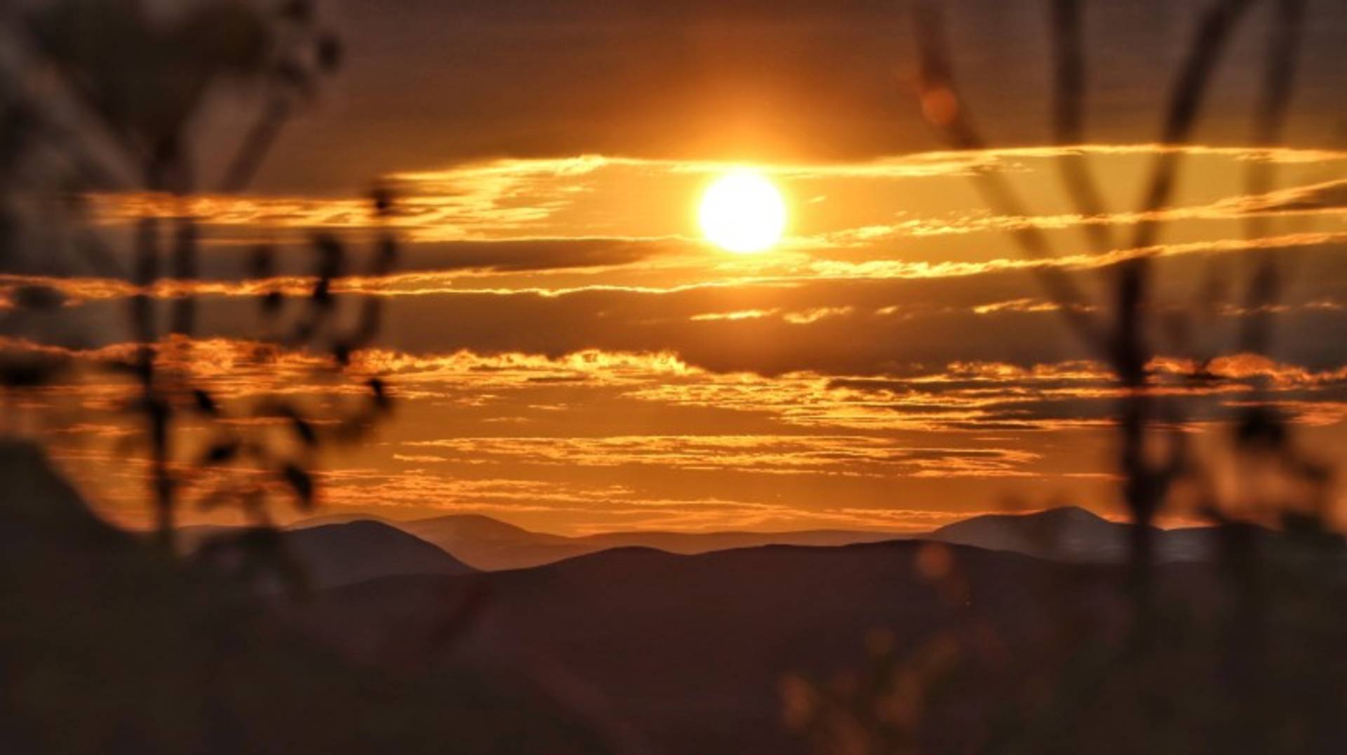 Sweden in May: Weather, Tips, and More