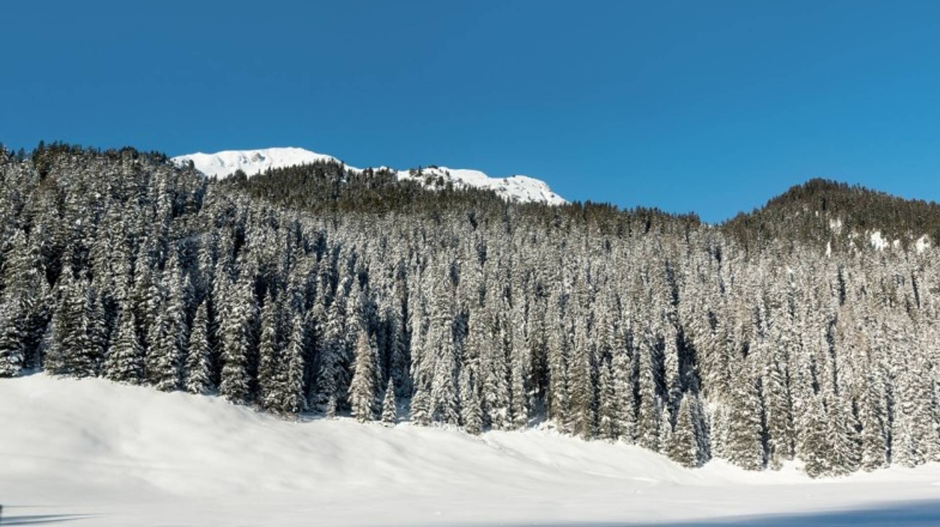 Switzerland in December: Travel Tips for Christmas Holiday