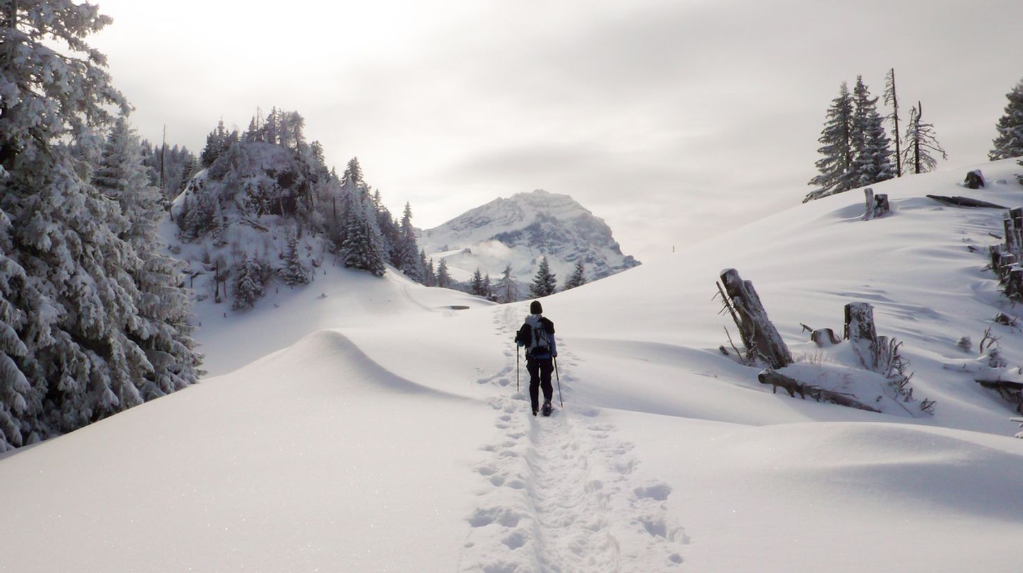 Snowshoe hiking is the perfect activity in February.