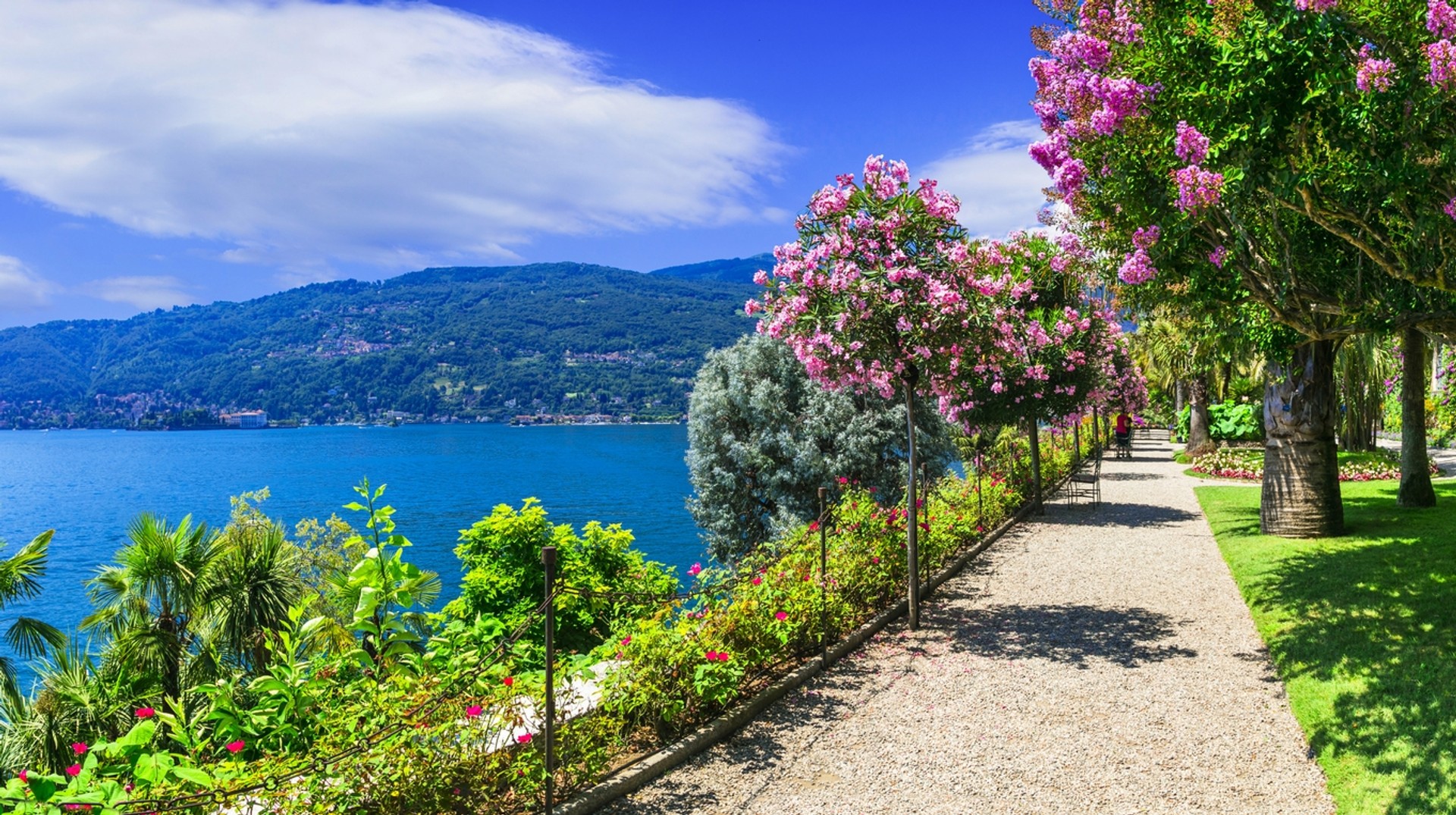 Visit Lake Maggiore as this magnificent lake is home to a multitude of flowers in Switzerland in March. Beautiful floral garden in Lake Maggiore in Switzerland in March.