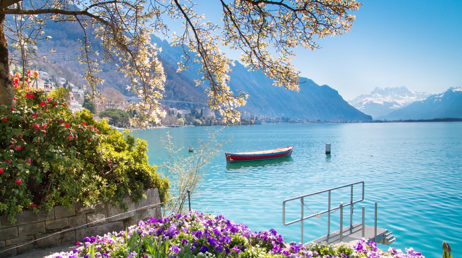 The banks of Lake Geneva are covered with beautiful flowers in May.