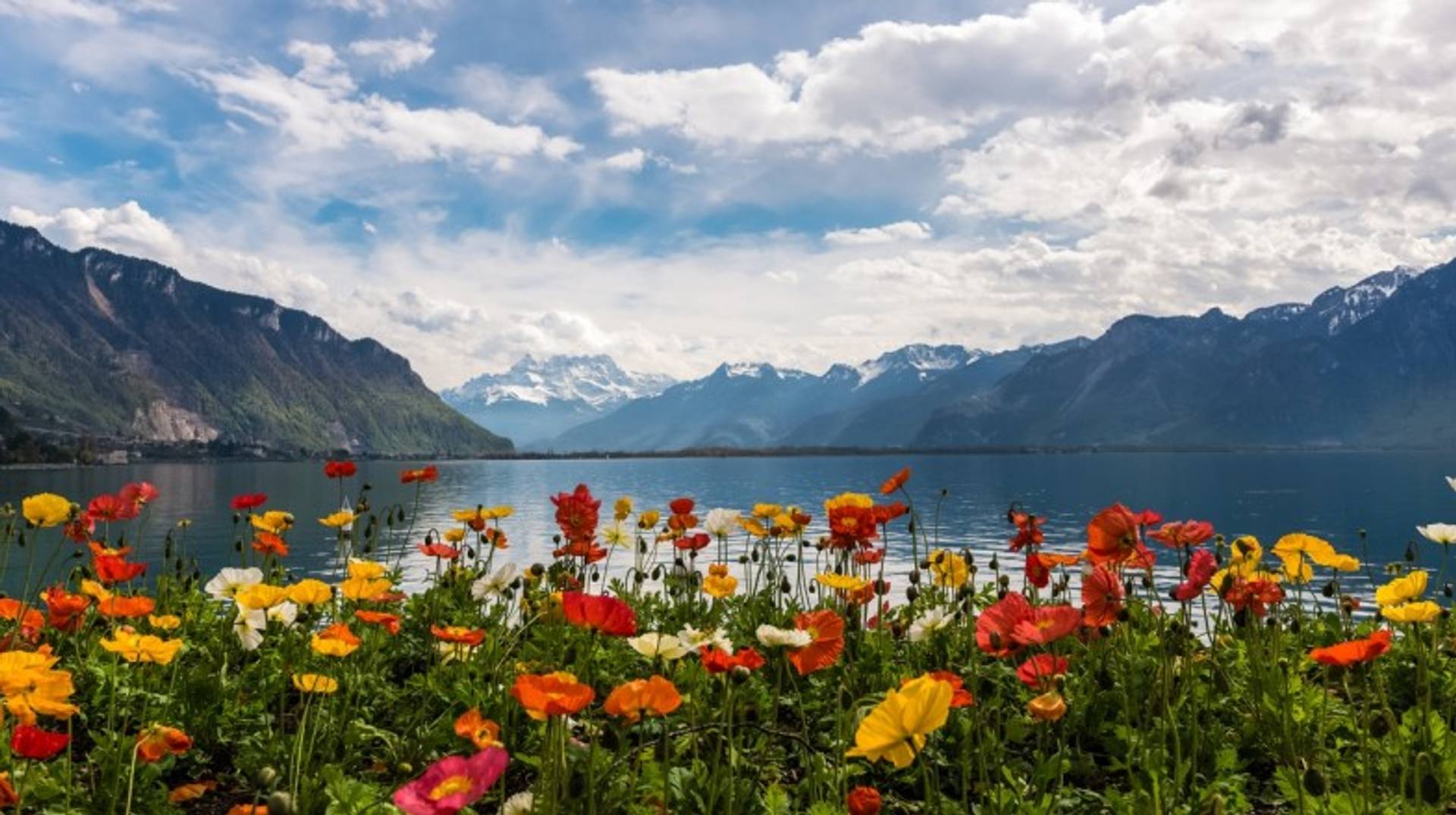 Switzerland in May: Spring Travel Tips