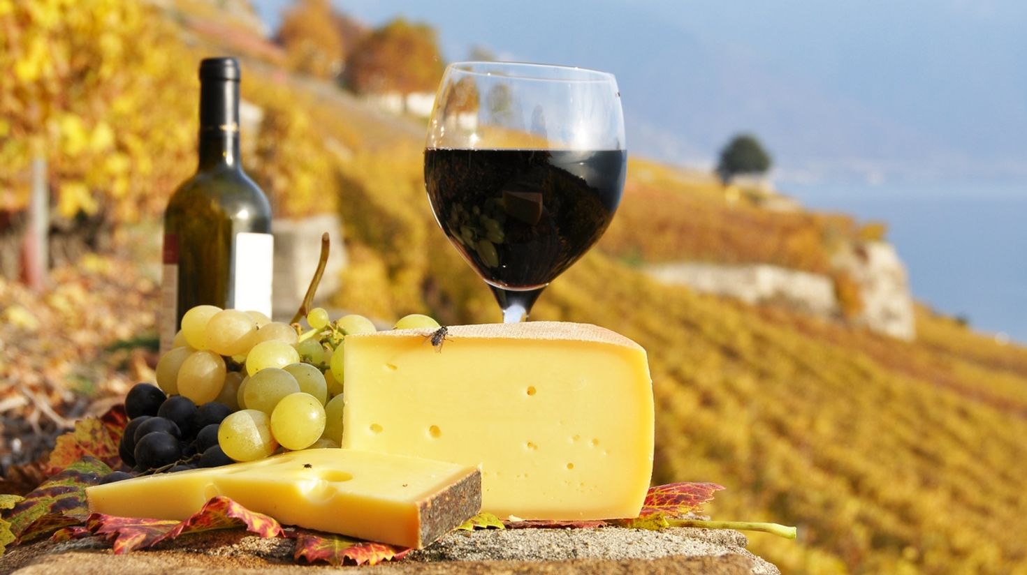 Grab some cheese and a glass of wine during harvest season in Switzerland.