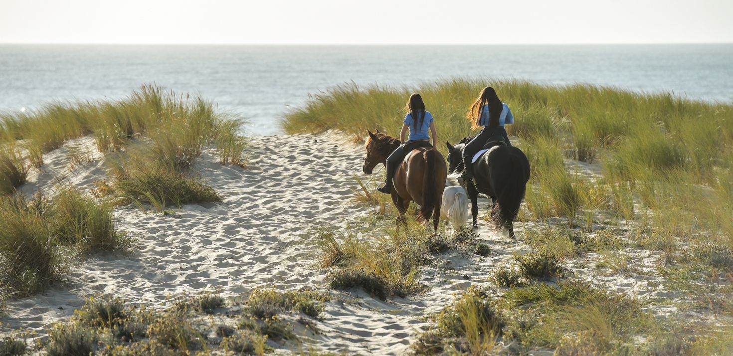 Horseback riding in the beach of Tamarindo