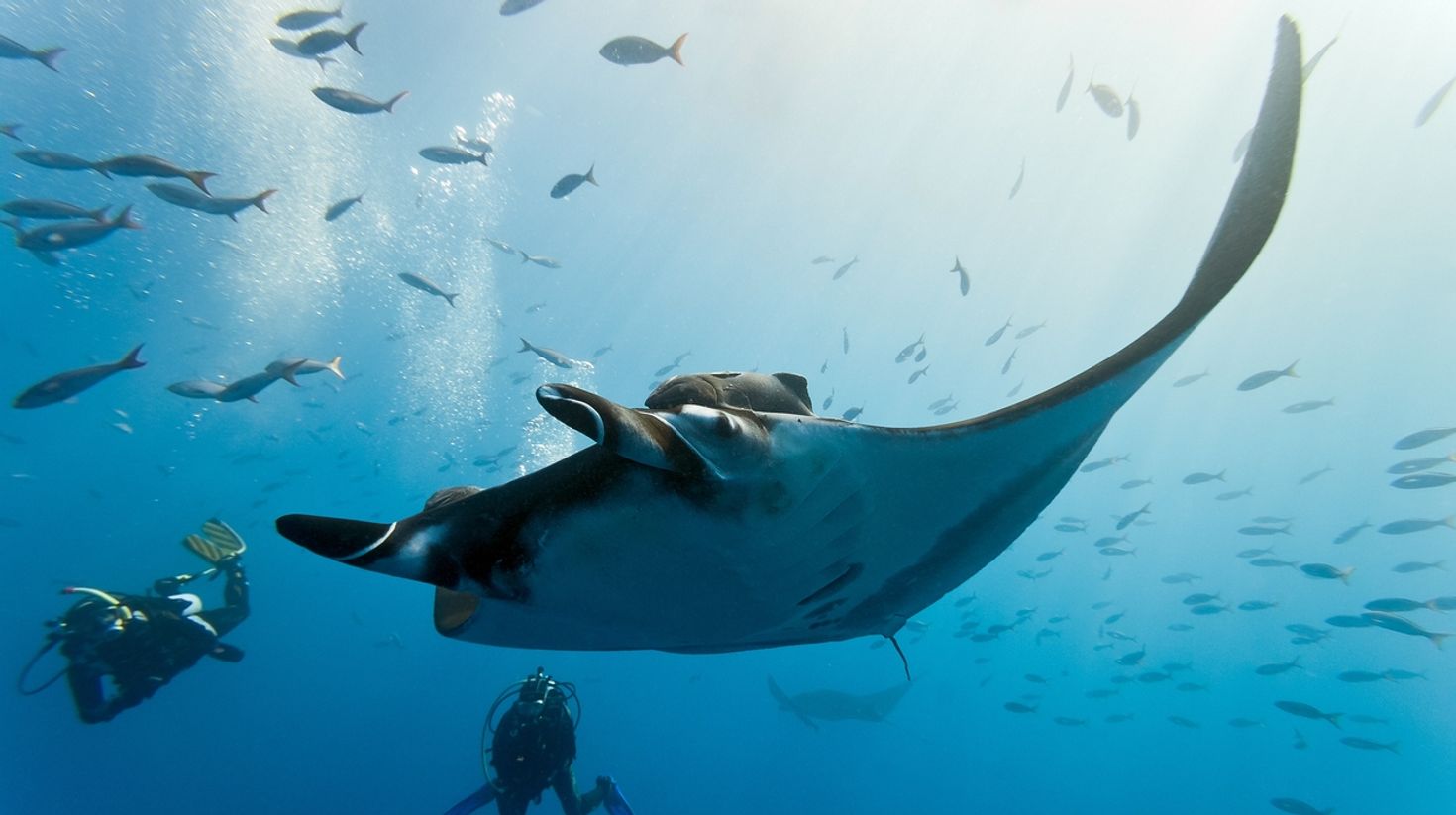 Scuba diving in Tamarindo