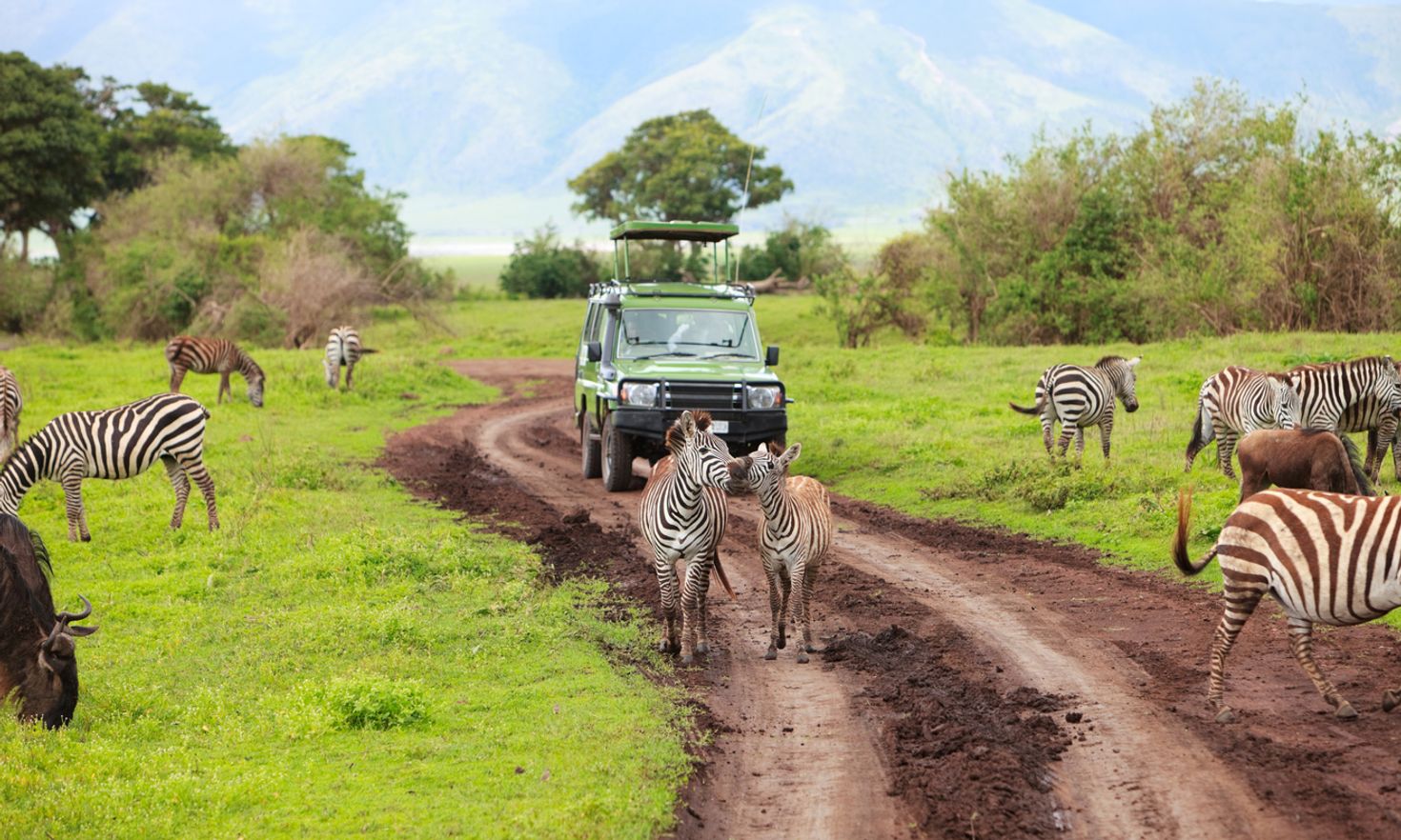 Due of its warm climate, Tanzania is ideal for safari rides in December.