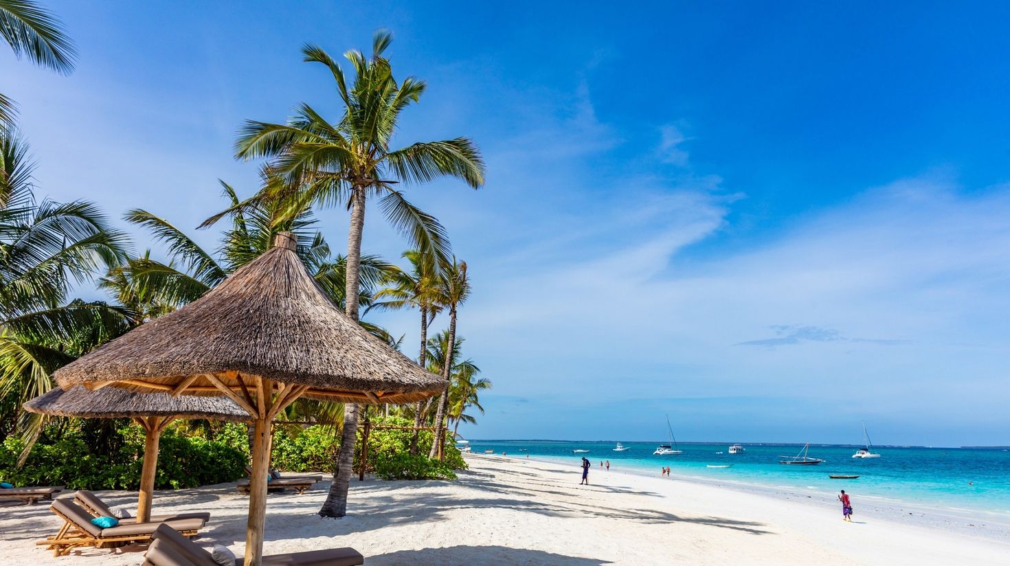 The palms on the sandy beach and tropical landscape with palm trees