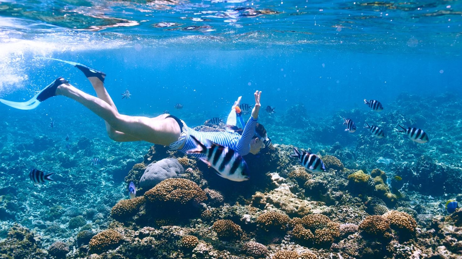 Tanzania is known for its world-class dive sites and serene snorkeling spot