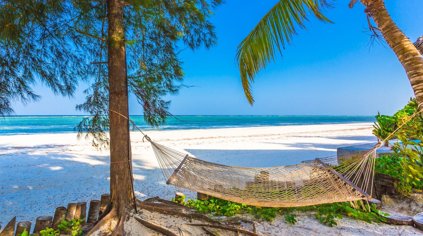 A hammock tied down to two trees on one of the Zanzibar beaches.
