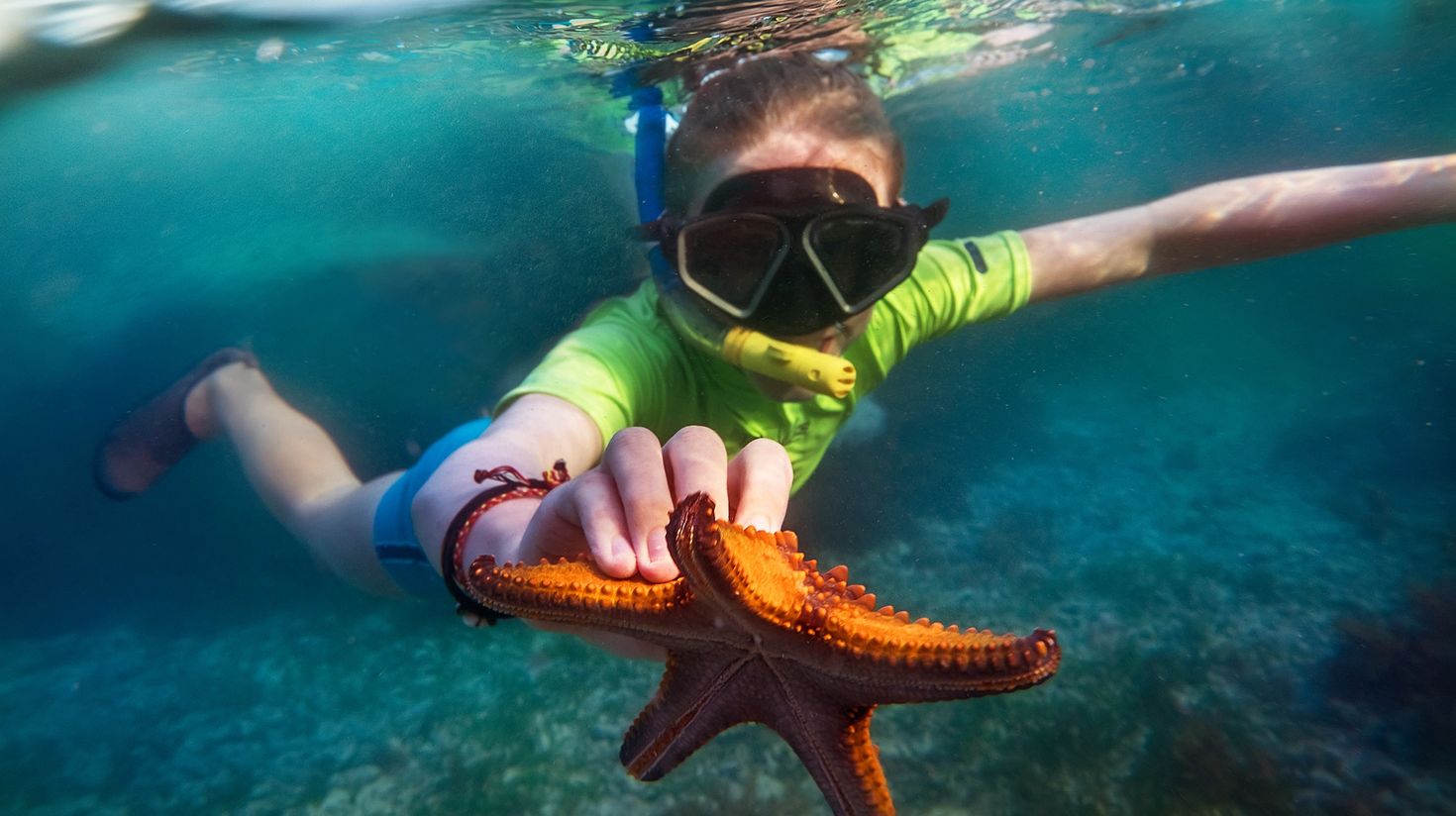 A kid holding a starfish while snorkeling in Zanzibar.