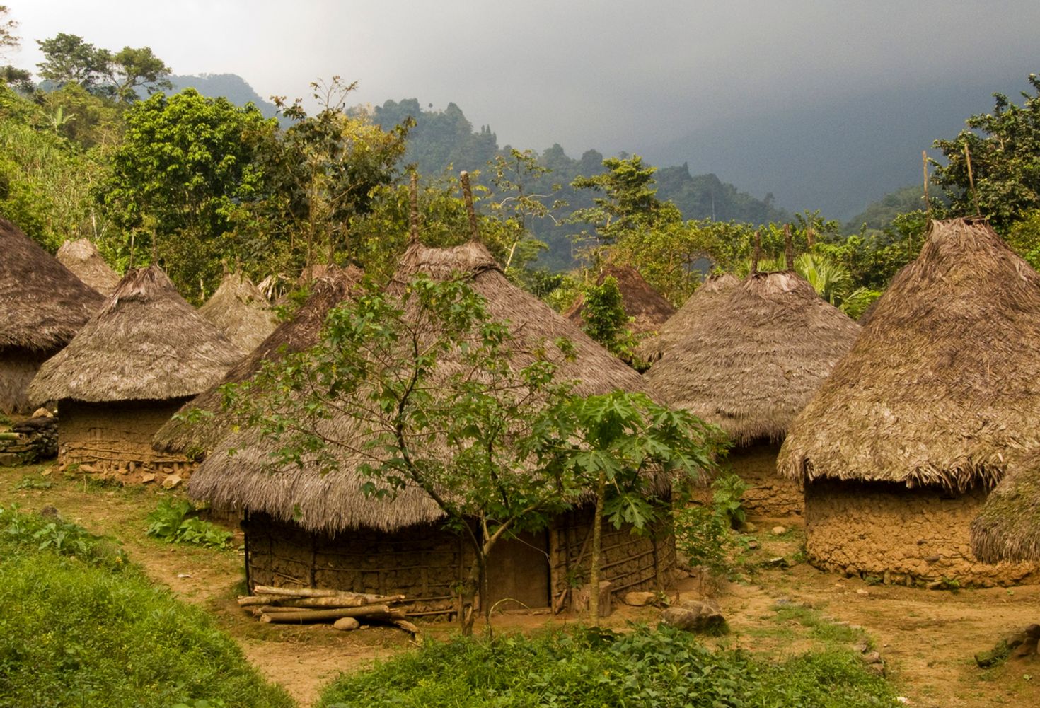 Kogi community at Tayrona National Park live in traditional huts