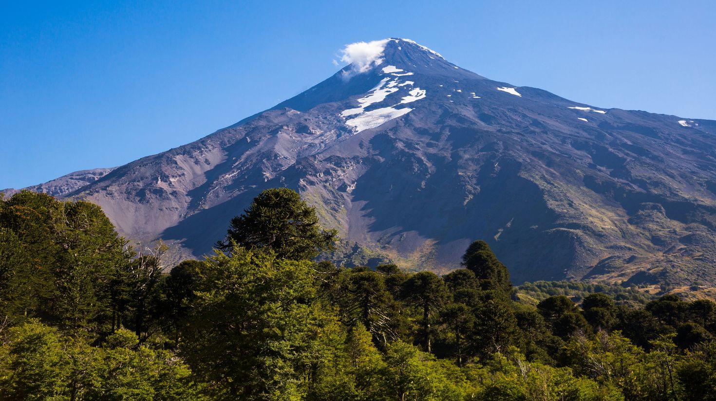 Lanin Volcanon in Chile