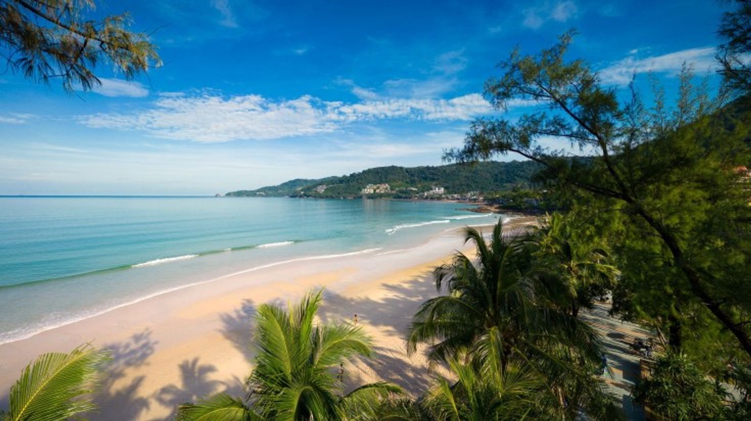 Aerial view of Patong Beach with palm trees and white sand on a clear summe